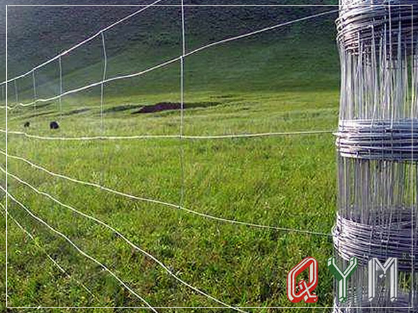 畜牧场铁丝网围栏